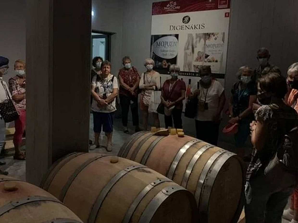 Wine Raki Olive Oil Tasting and Pottery - Private Tour in Greece, Heraklion, photo 4