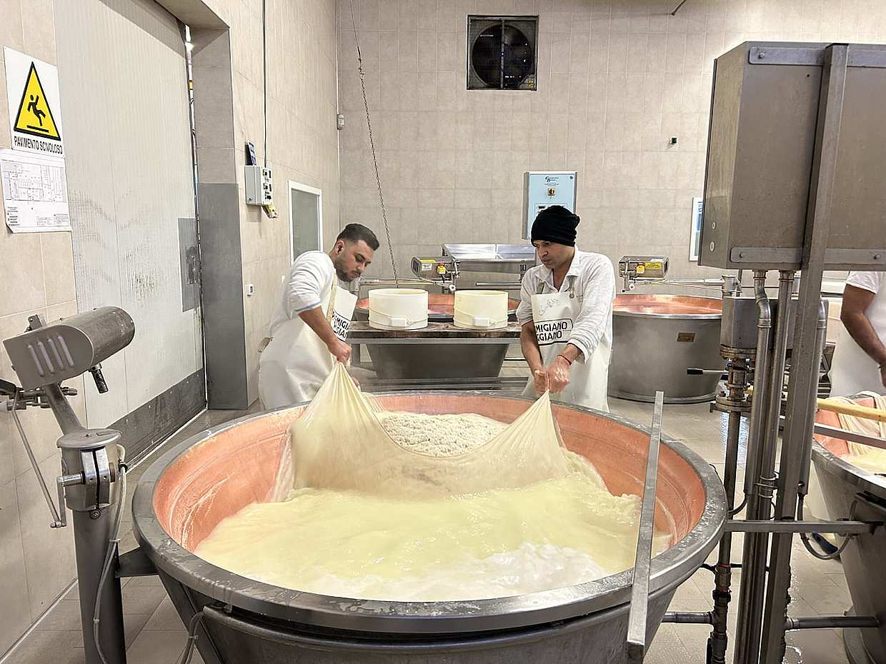 Il gusto dell'Emilia-Romagna: Parmigiano, prosciutto e aceto balsamico di Modena, photo 5