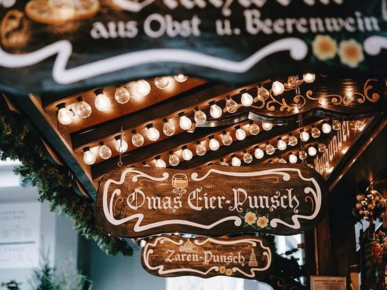 Christmas Private Daytrip from Salzburg to Vienna and back