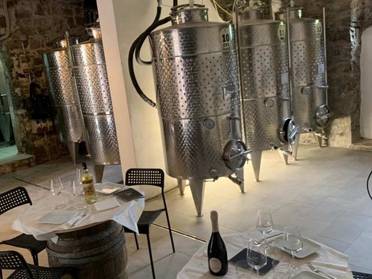 Cinqueterre, Volastra Winery: Wine & Sciacchetrà Tasting, photo 2