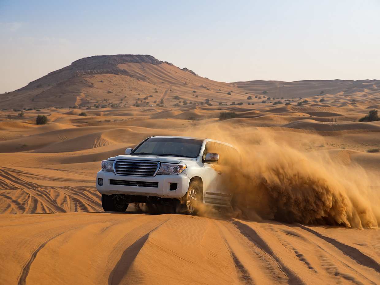 Desert Safari and Evening Show in Dubai, United Arab Emirates, photo 2