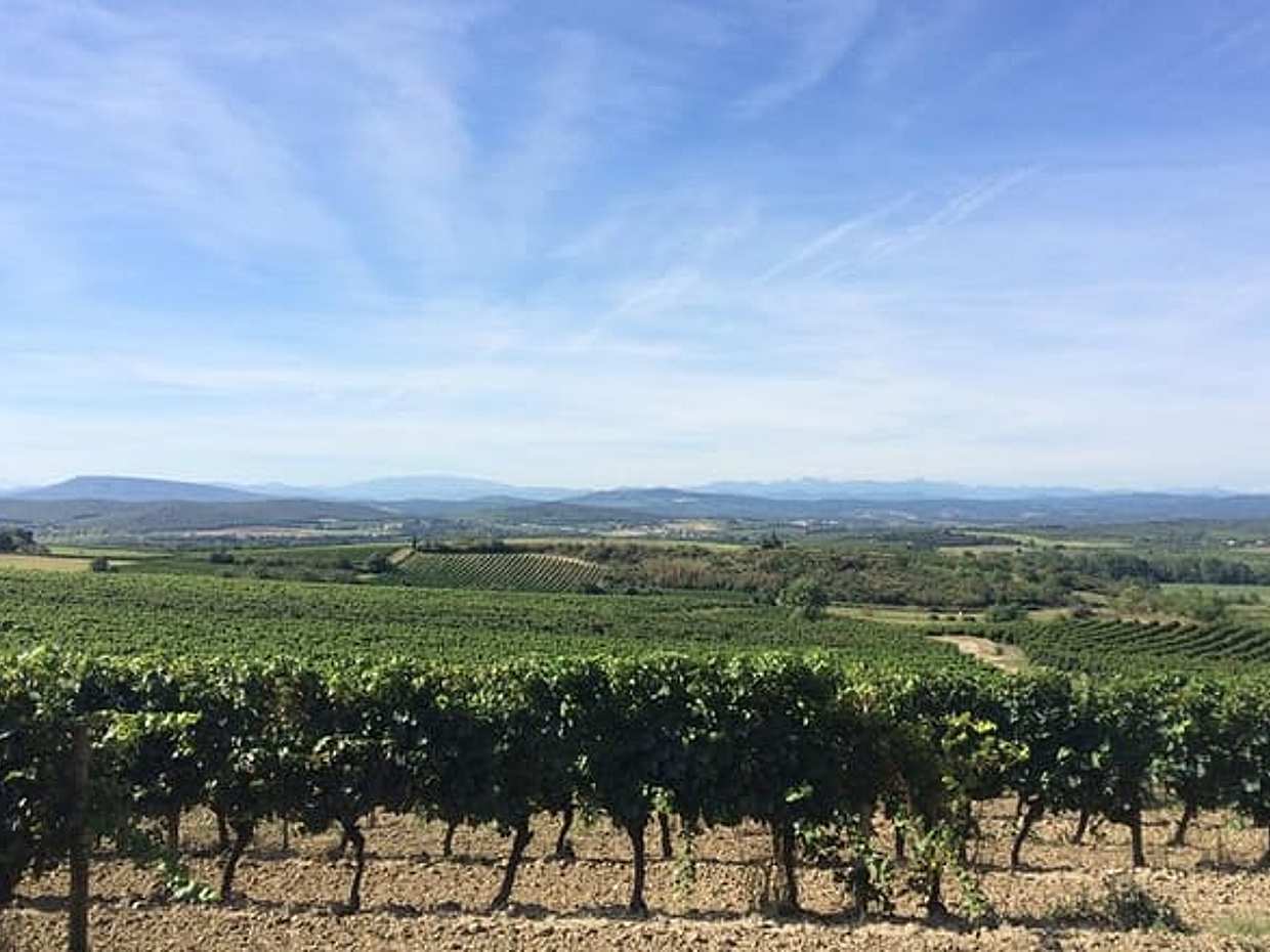 Cité de Carcassonne and Wine Tasting Private Day Tour from Toulouse, photo 5