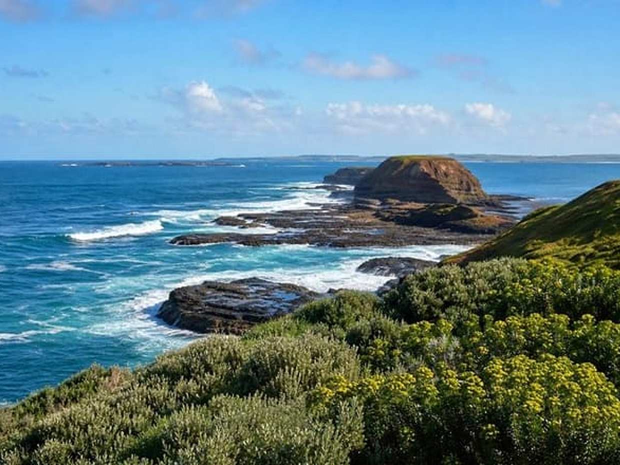 "Phillip Island Nature Parks PENGUIN Parade บริการรับส่งส่วนตัวจากโรงแรมสำหรับ GYG ในออสเตรเลีย, เมลเบิร์น", photo 4
