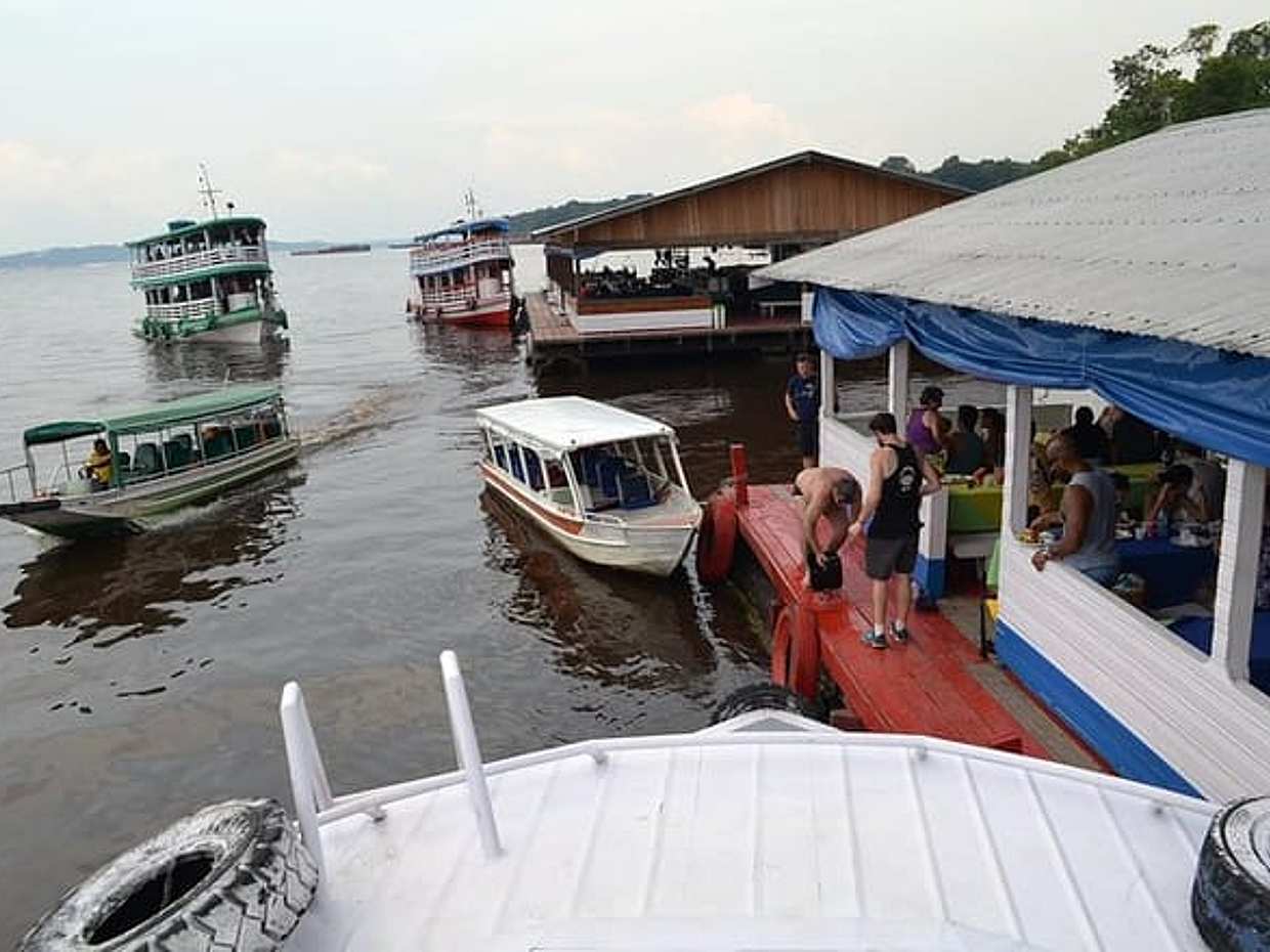 Amazon Negro River Half-Day Expedition Tour, photo 3