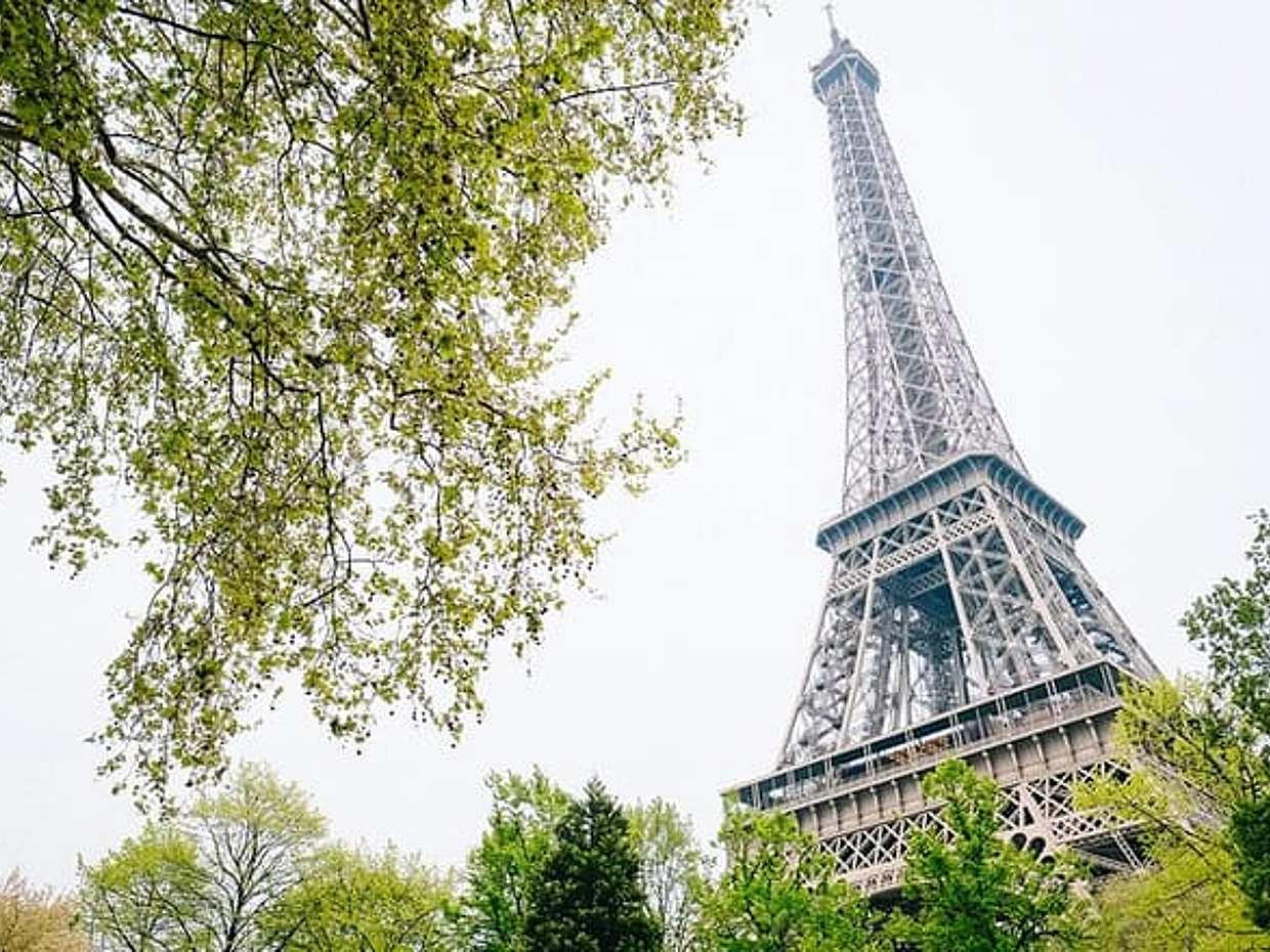 Seine Cruise, Eiffel Tower and Giverny Tour, photo 2
