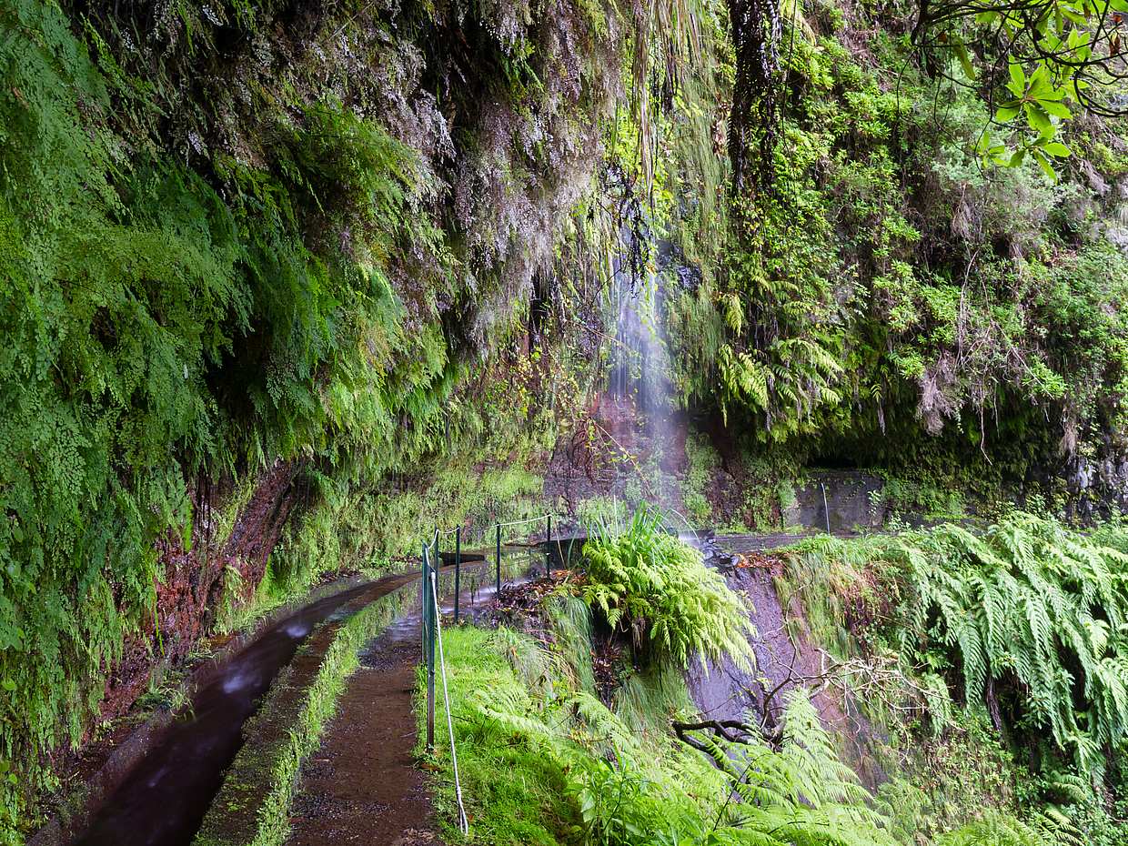 King's Levada, Hidden Corners Full-day Walking Tour in Madeira, Portugal, photo 3