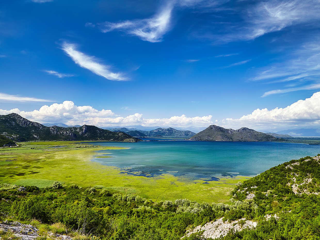 Fishing Village Virpazar, Skadar Lake and Budva Private Tour in Montenegro, Kotor