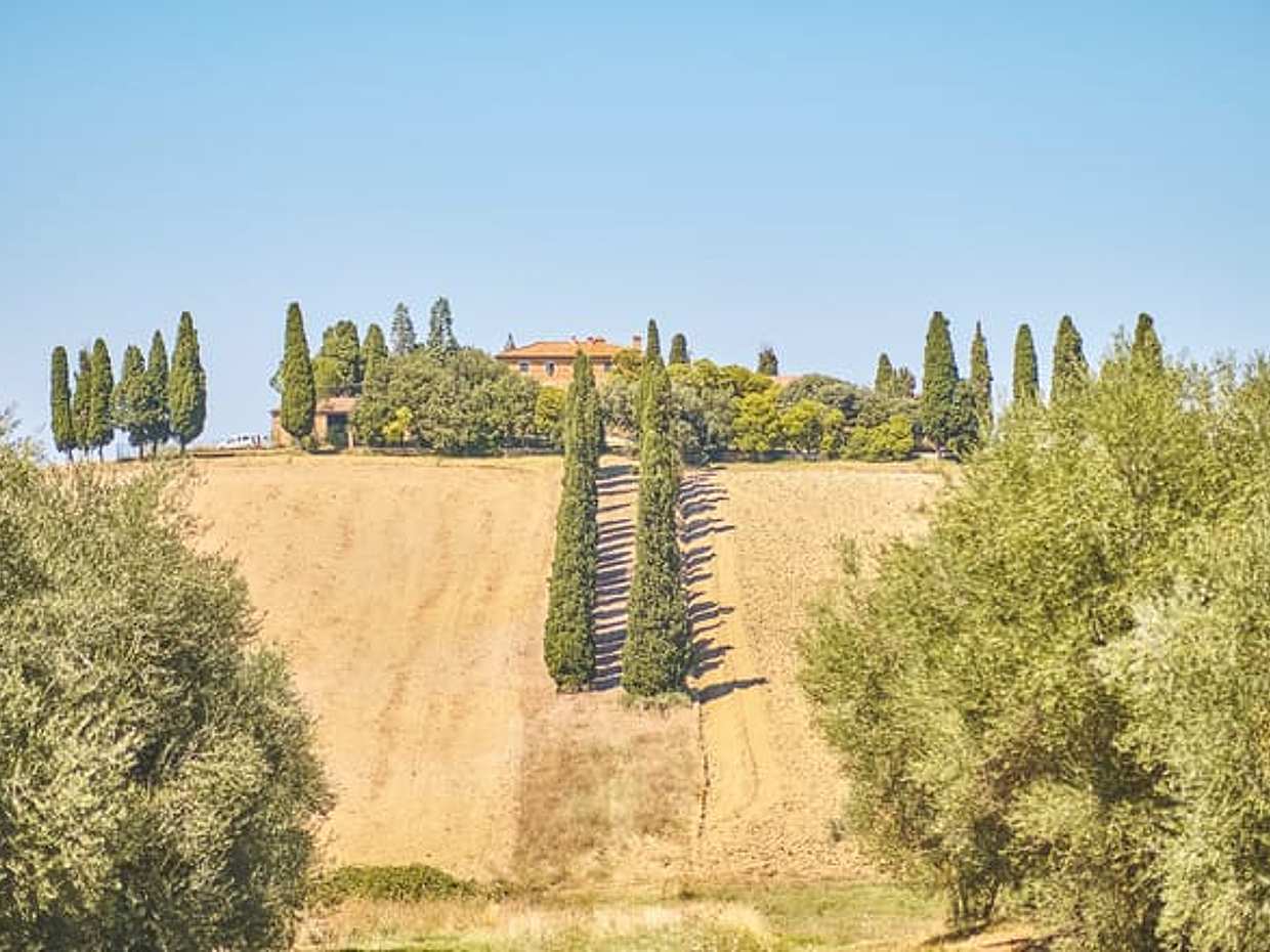 Discovering Val d’Orcia: Montepulciano & Pienza with Wine and Cheese Tastings from Rome, photo 2