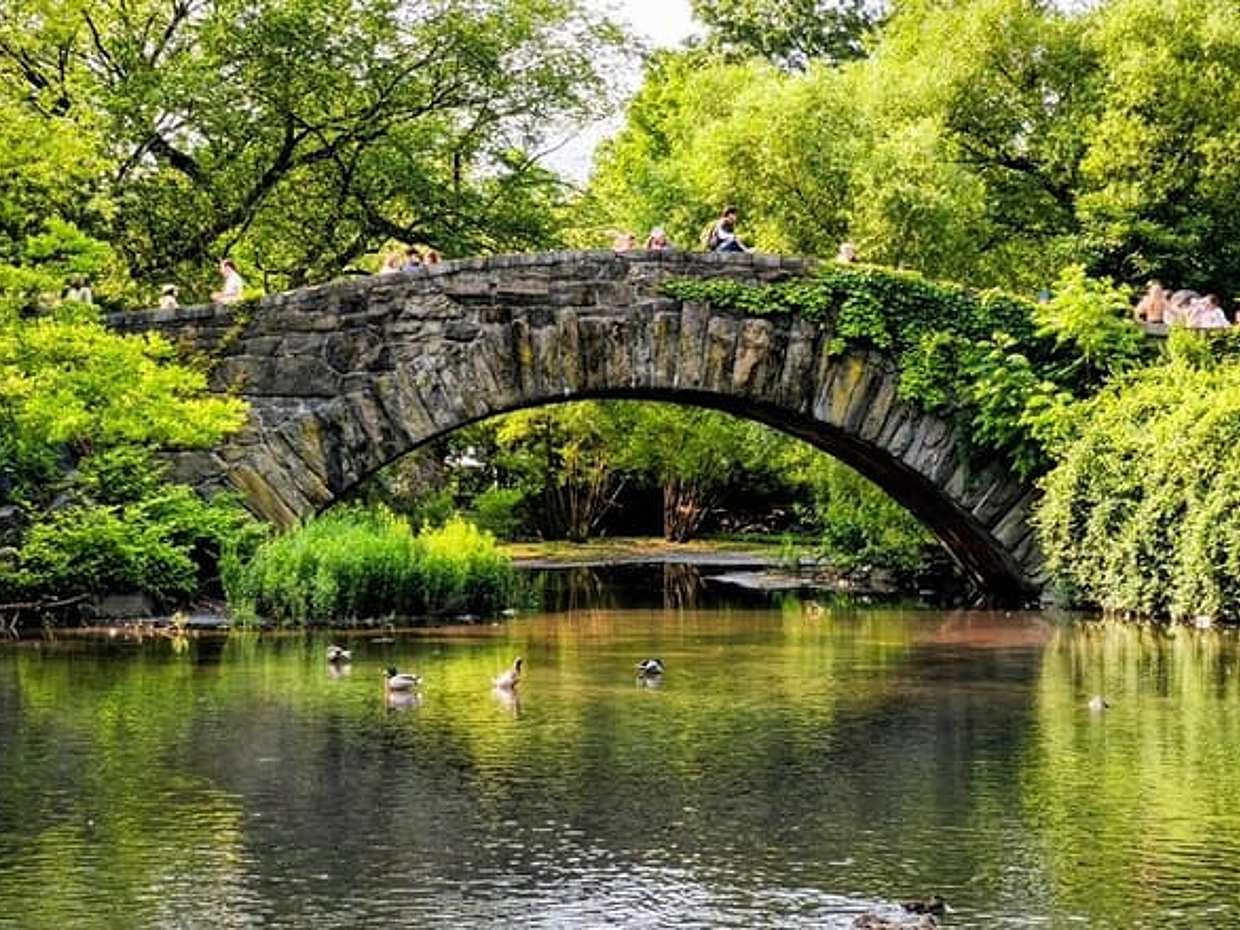 New York City Tour in One Day: Central Park, 911 and Ferry Statue, photo 4