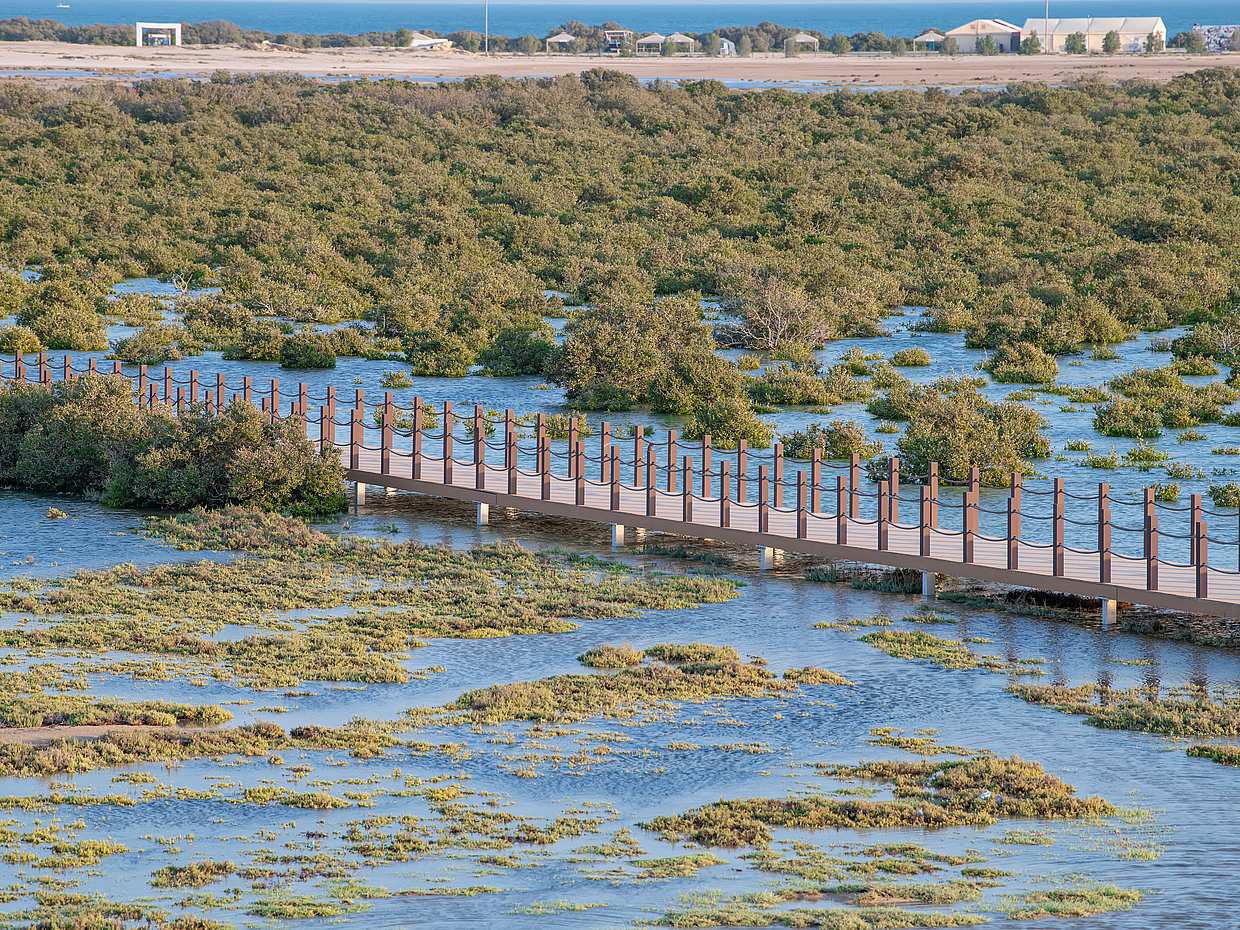 Dukhan and Zekreet Tour in Qatar, Doha