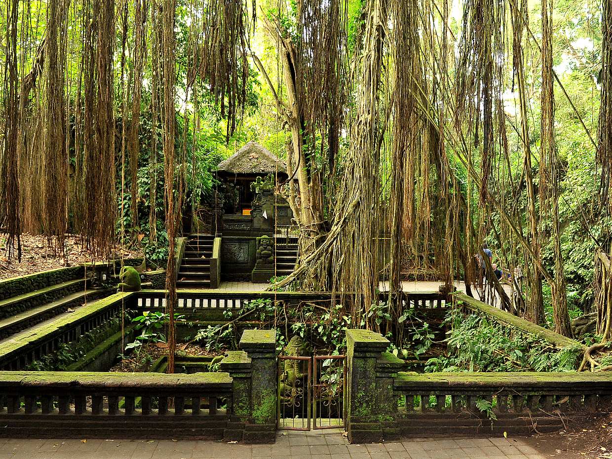 Bali Tour Privado Personalizado, photo 4