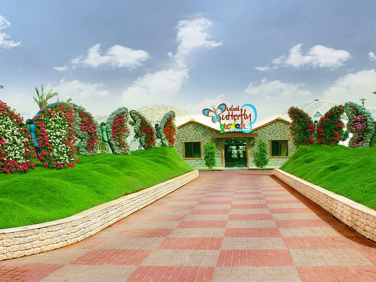 Dubai Butterfly Garden Tour with private transfers in United Arab Emirates, photo 2