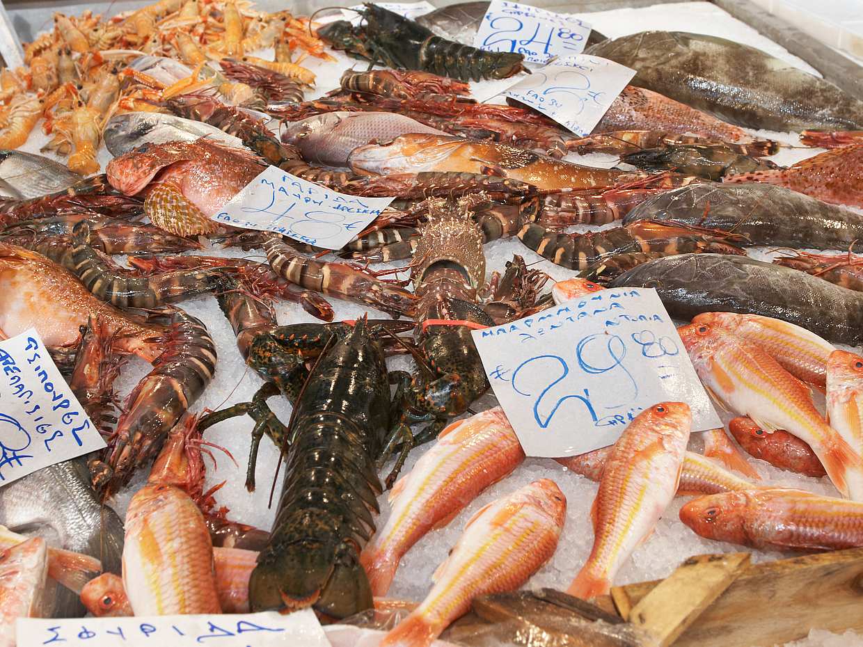 Visite gastronomique en petit groupe à Athènes avec dégustations en Grèce
, photo 3