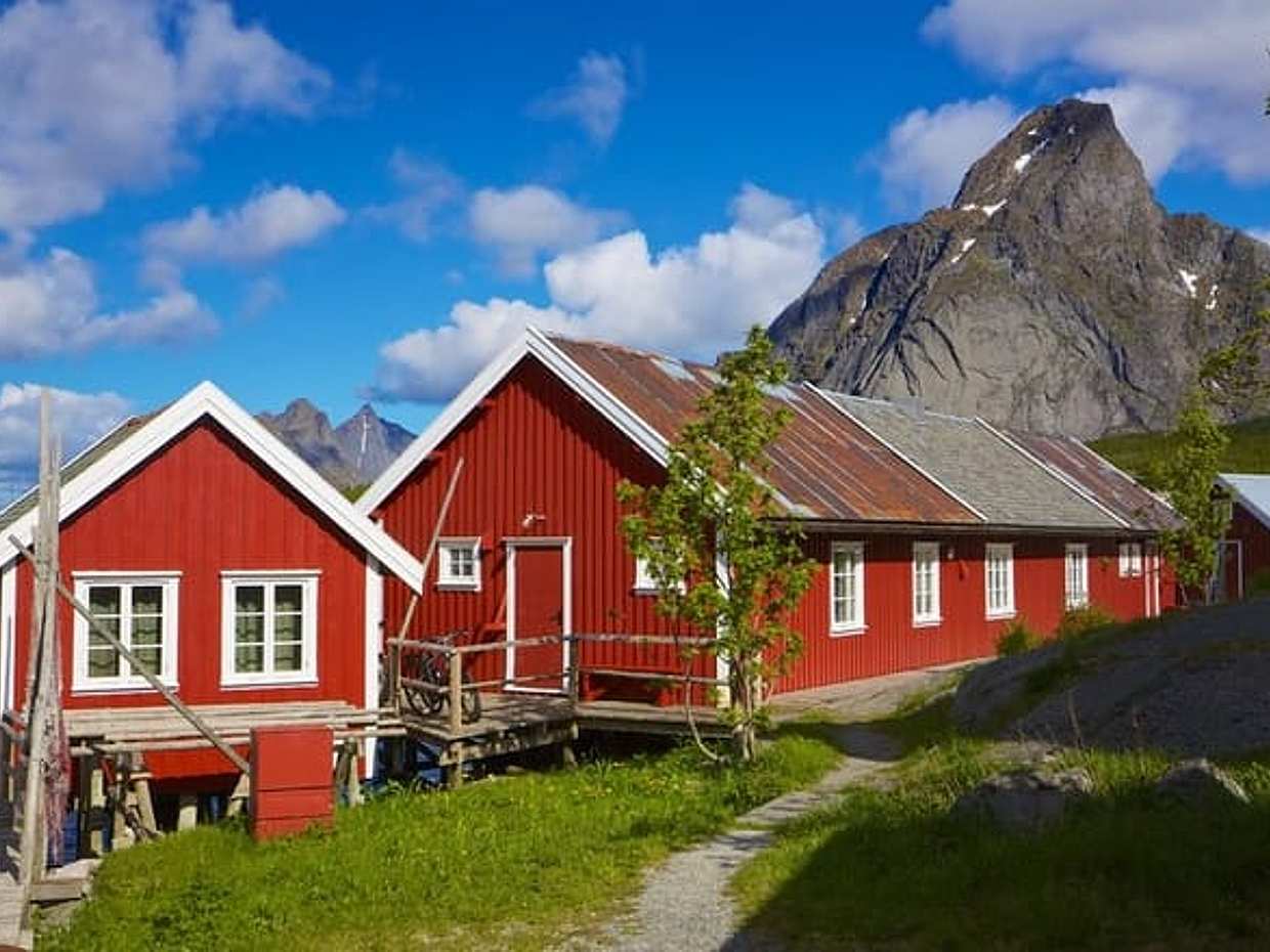 Special Summer Cruise Bus Tour of Lofoten, photo 3