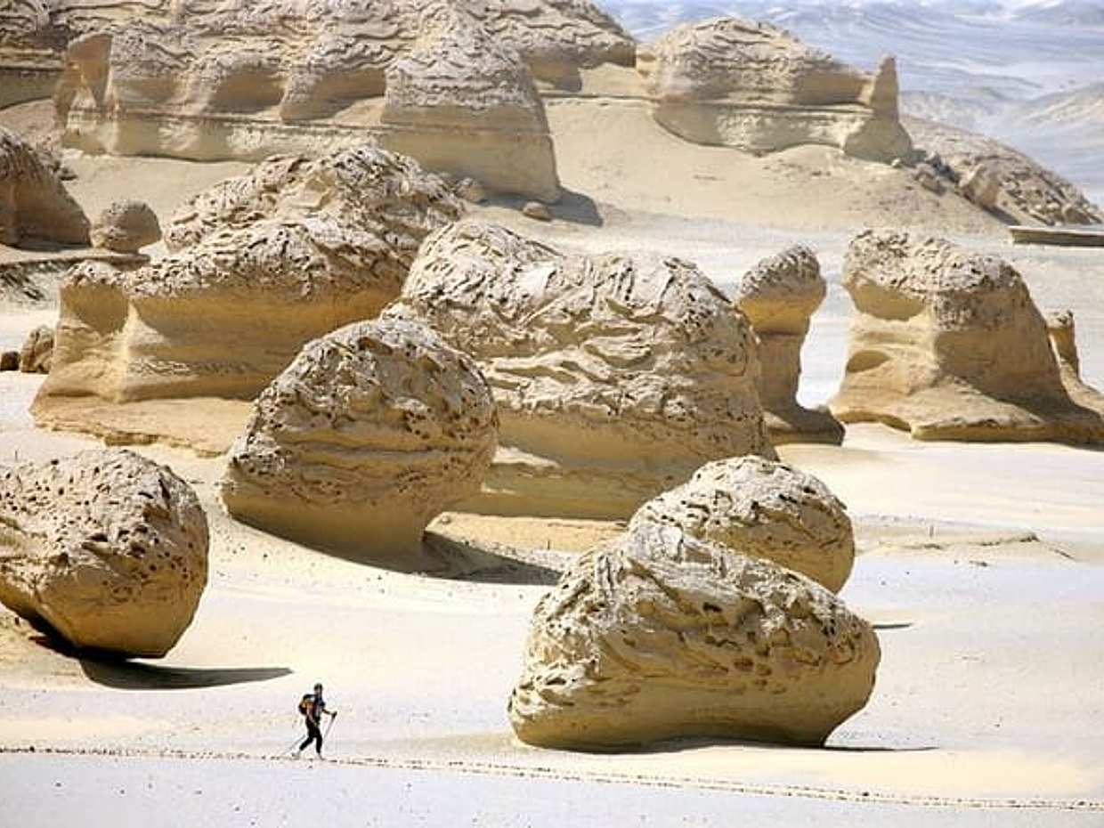 Private Tour Fayoum Oasis & WATERFALLS & Sandboarding with LUNCH, photo 4