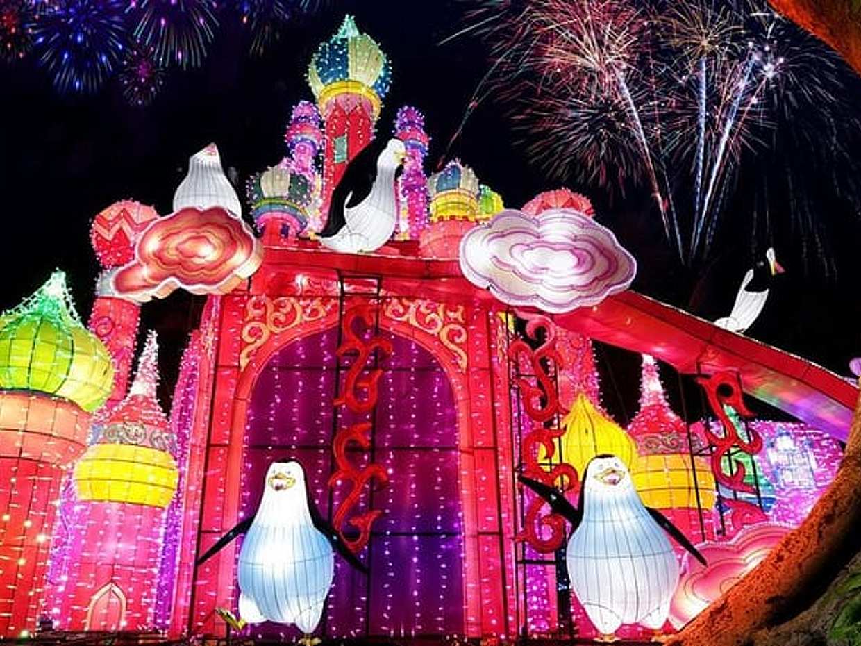 迪拜荧光花园 + 恐龙公园和魔法公园入场券（阿拉伯联合酋长国）