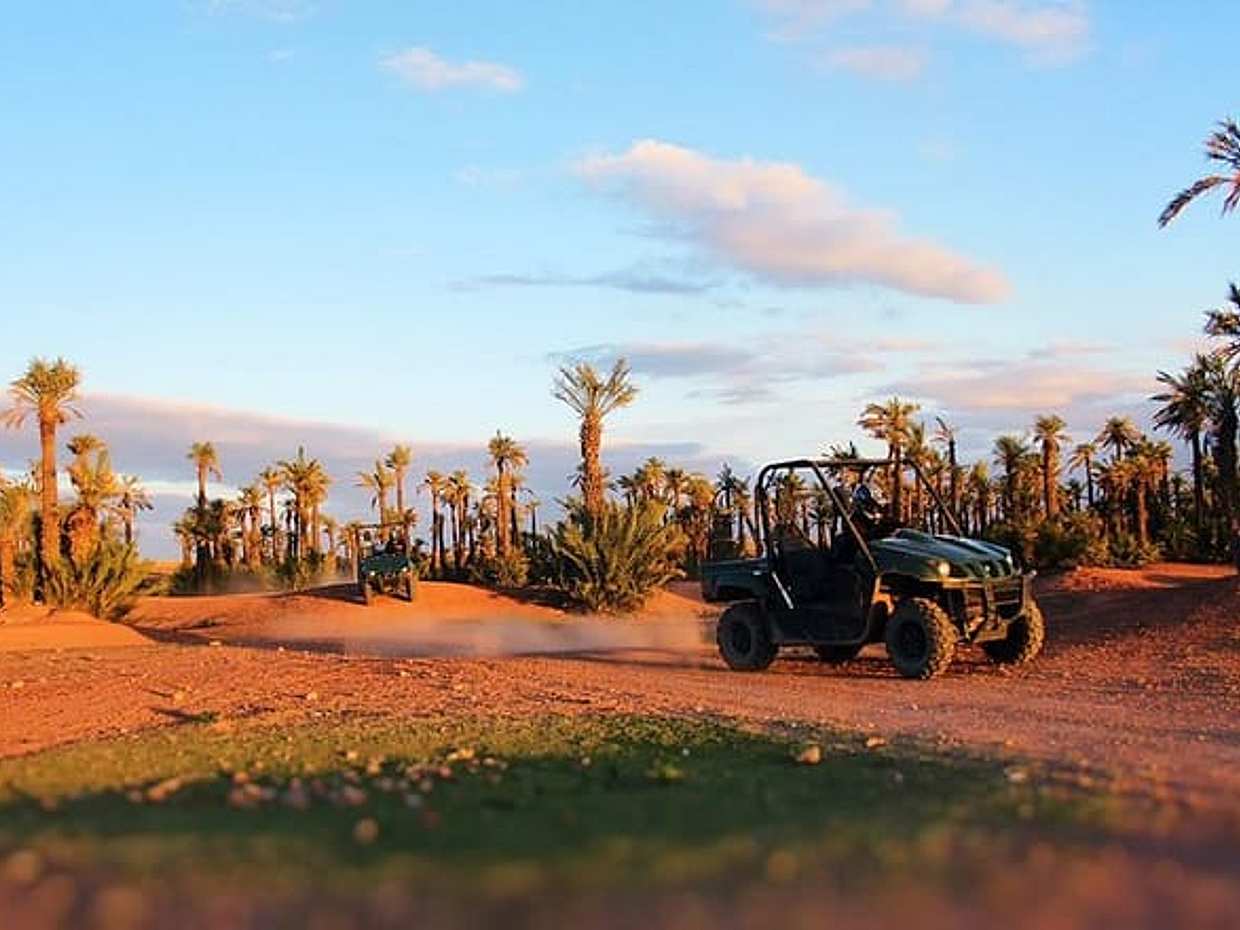 Buggy Tour in Marrakech Palm Grove, photo 3