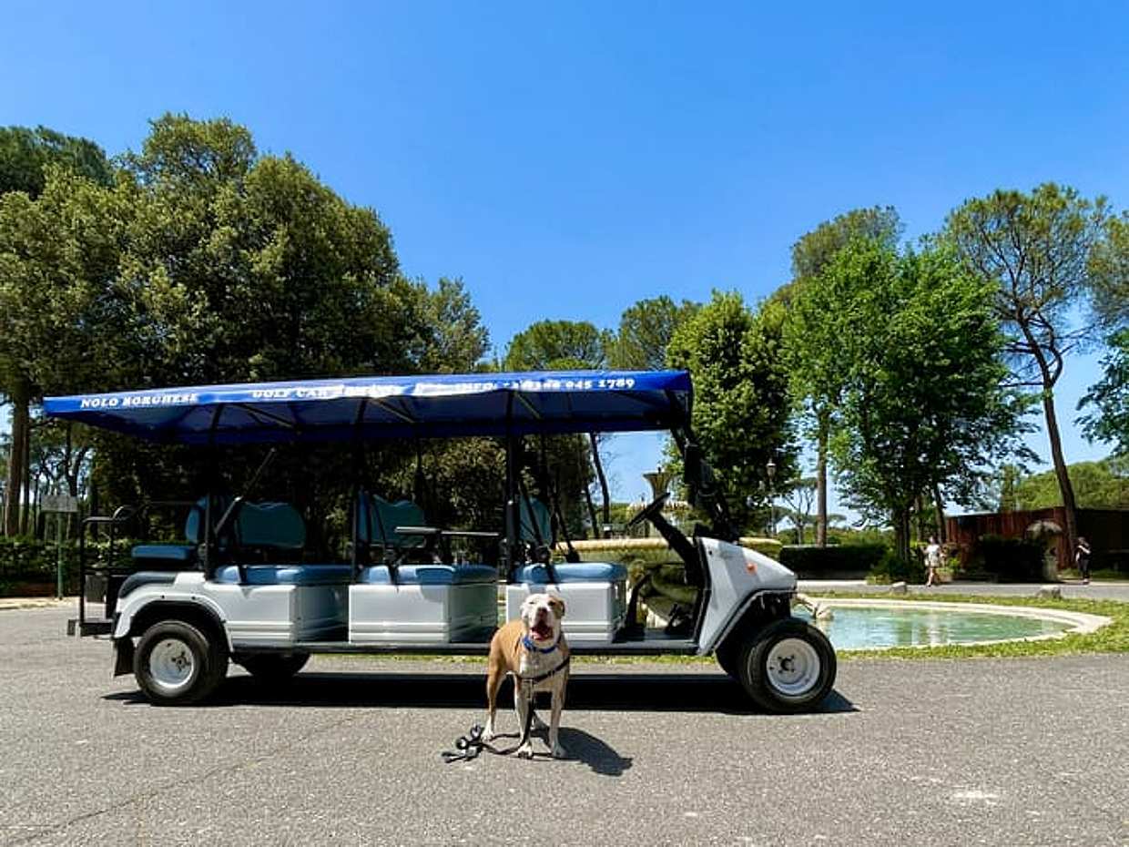 Rome Half Day: Private Golf Cart Adventure & Wine Tasting in an Ancient Cellar