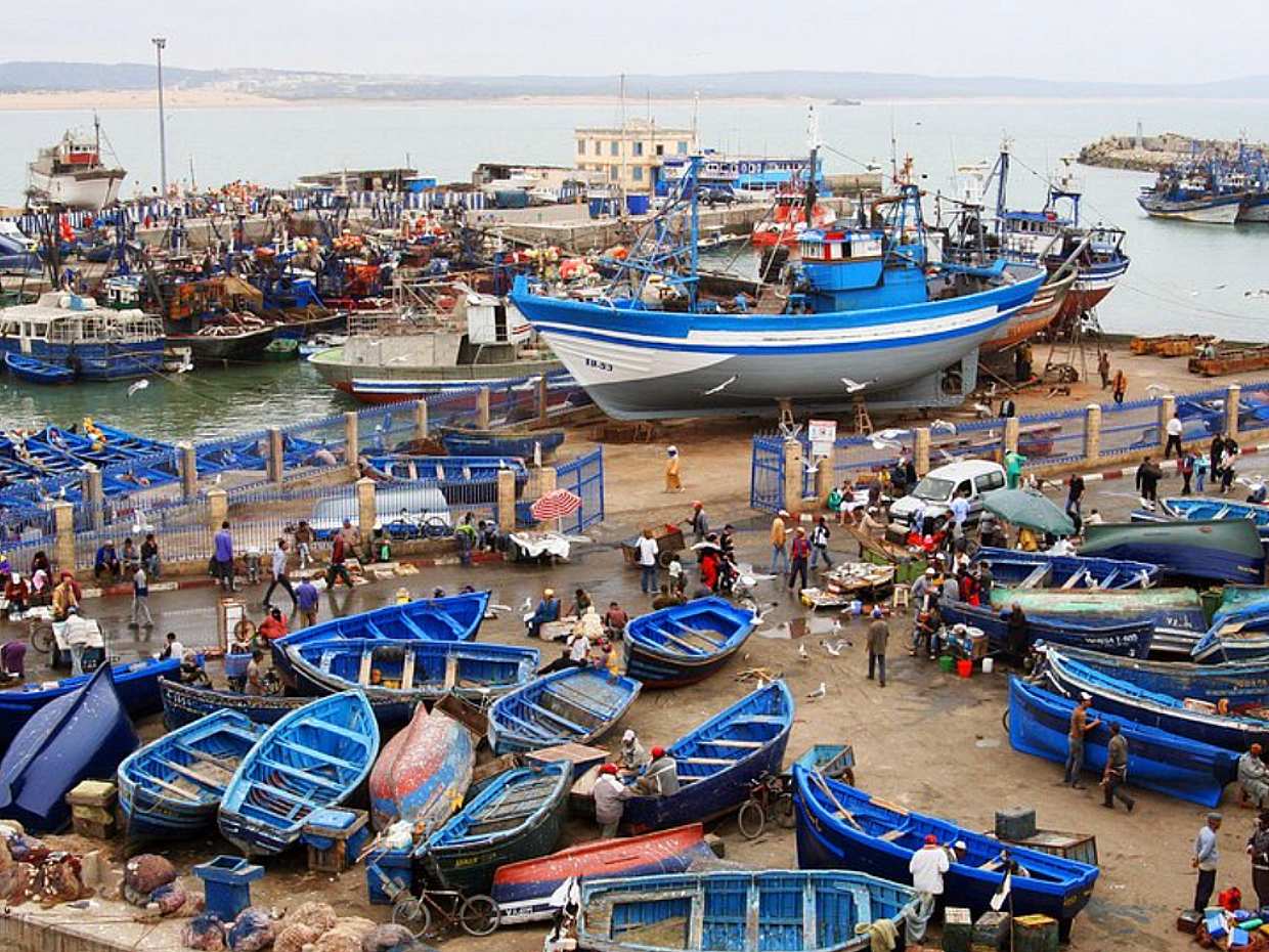 Full Day trip to Essaouira from Marrakech in Morocco, Marrakesh, photo 2