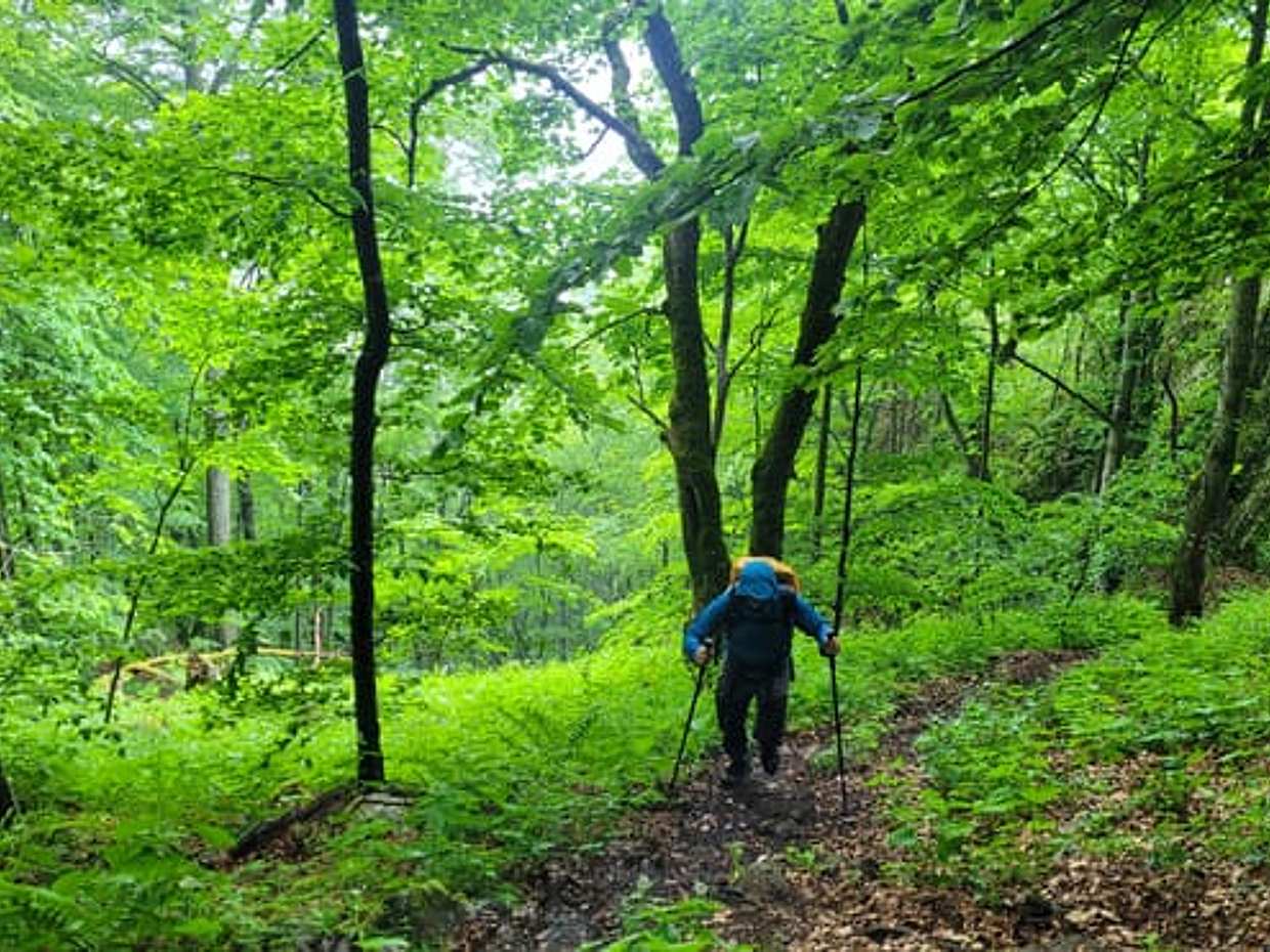 Discover Apuseni Mountains. Scarita Summit, Sipote Waterfall and Dumesti Village, photo 5