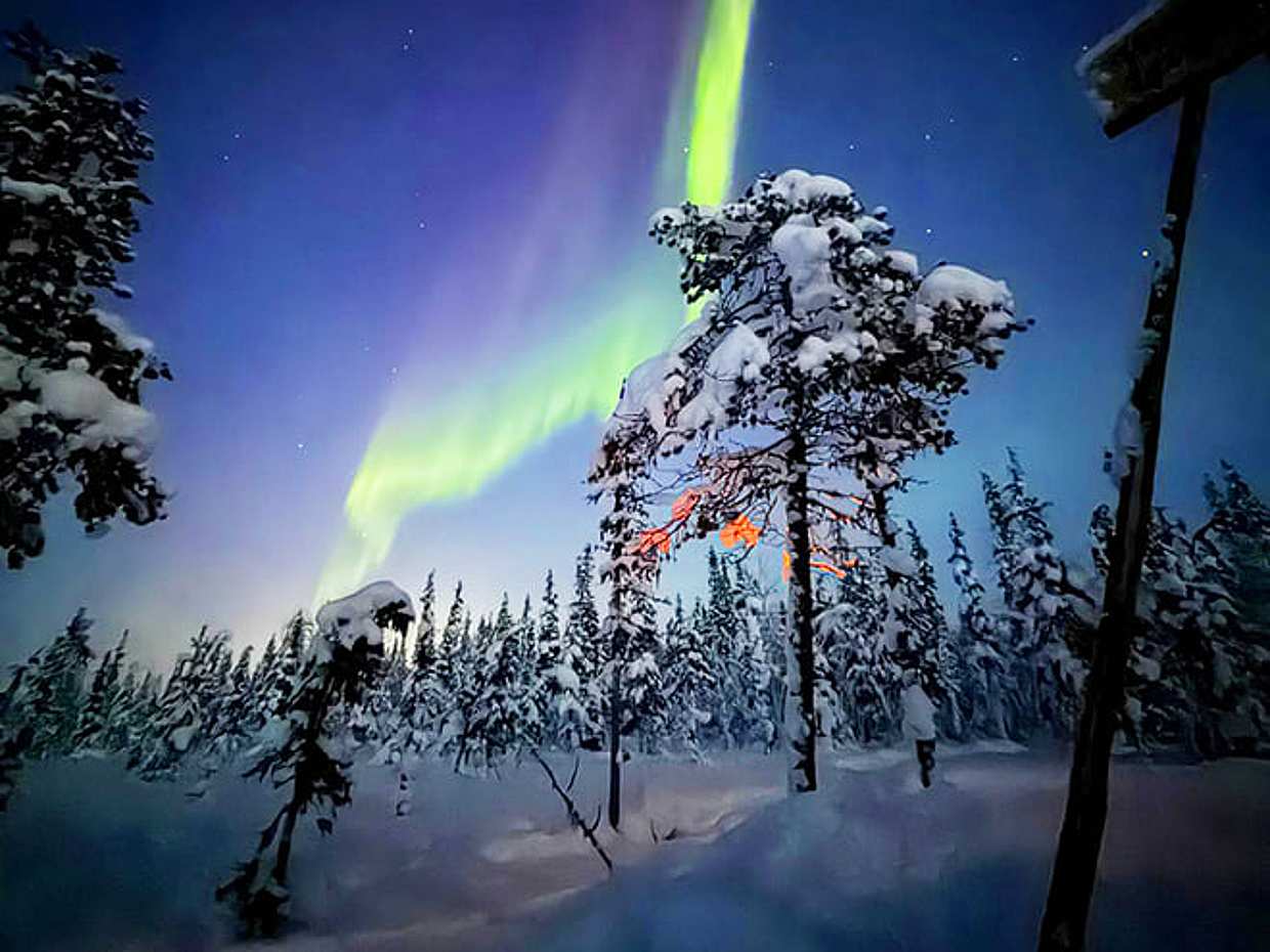Arctic Night Snowmobile Safari, Levi — adults only, photo 4