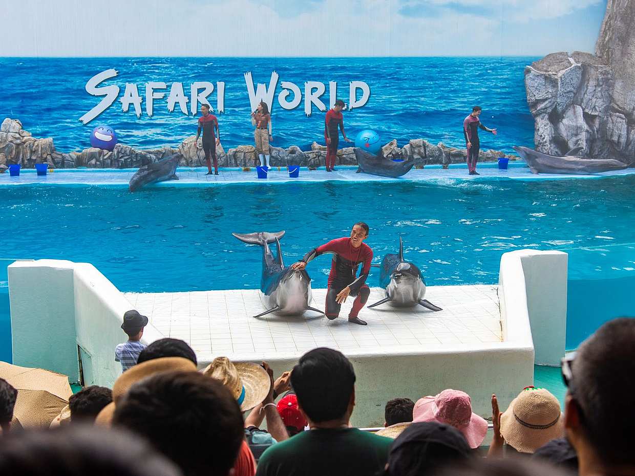 Bangkok: Prohlídka Safari World s lístkem do Safari a Marine Parku, obědem a transferem v Thajsku
, photo 5