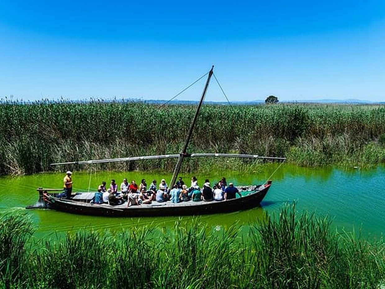 Albufera Private Day Tour: Paella, Boat Cruise and Nature Walk in Spain, Valencia, photo 4