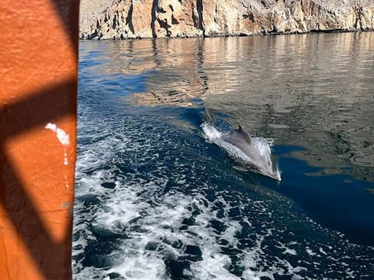 Musandam - 阿联酋迪拜的哈萨布之旅, photo 2