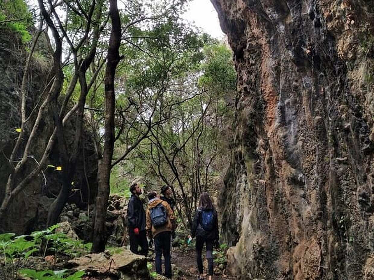 Full Day Rock Climb Adventure Trail with Lunch in Portugal, Setúbal Municipality, photo 3