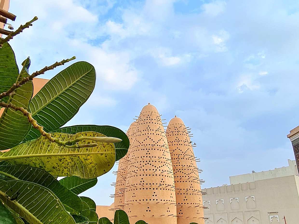Dagtour van een halve dag door Doha in Qatar
, photo 2