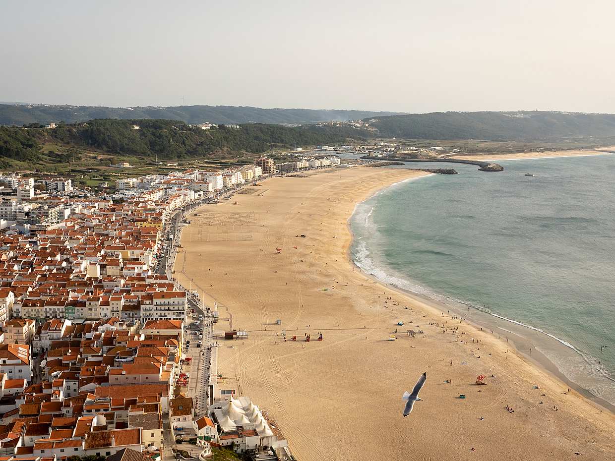 Tre città in un giorno: Tour di Porto, Nazaré e Óbidos, photo 5
