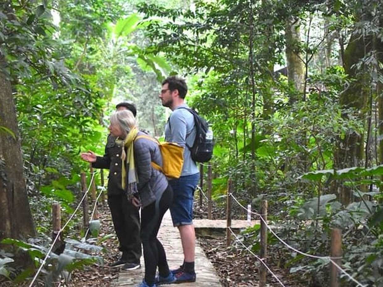 De Ninh Binh al Parque Nacional Cuc Phuong, Trekking y Selva en Vietnam