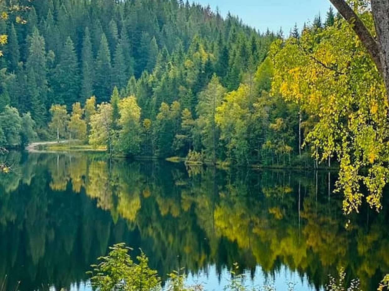 Norway Like a Local: Forest Cabin, Fresh Pastries and a Swim, Oslo, photo 4