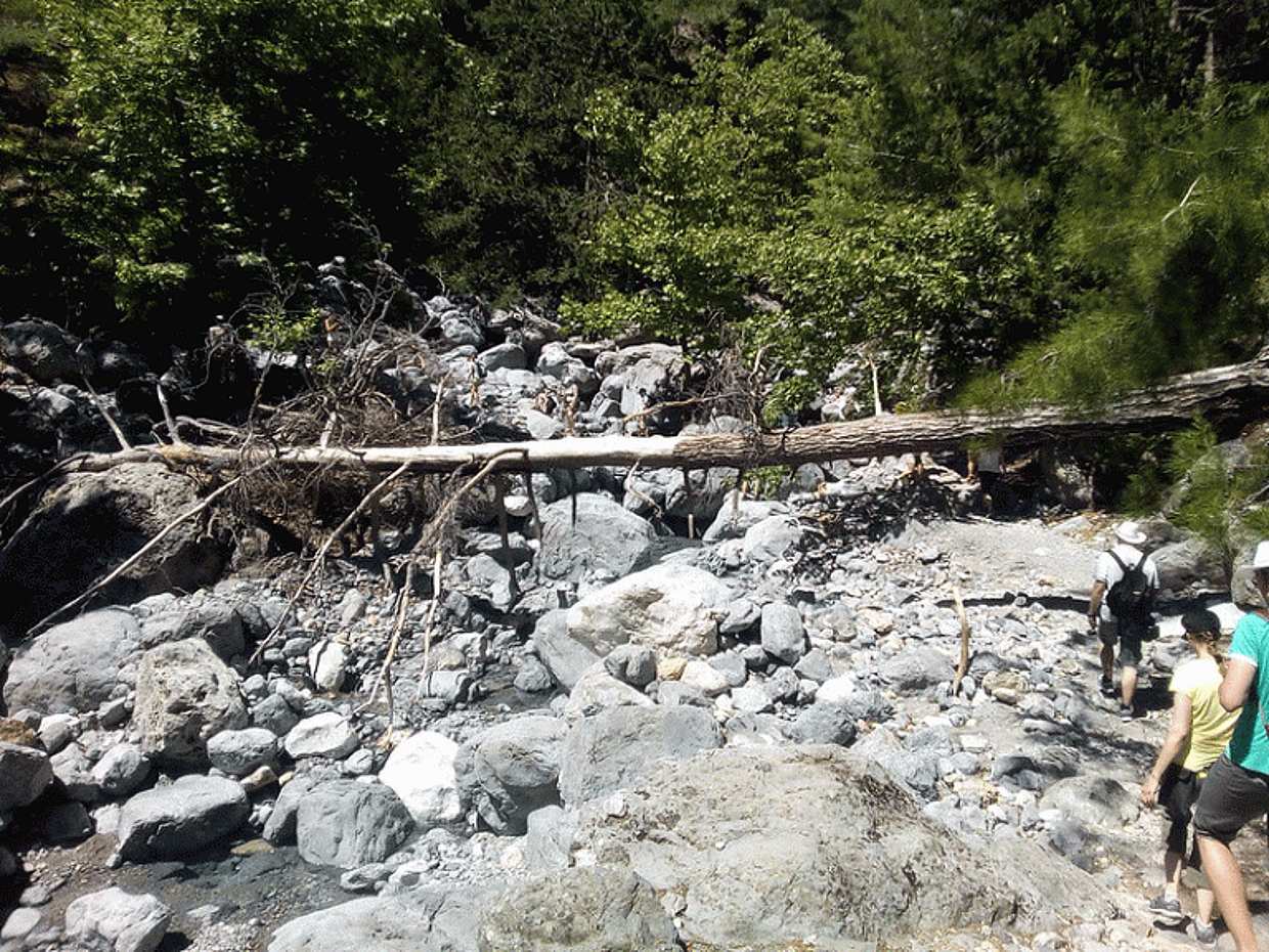 Samaria Gorge Hiking Tour from Heraklion, photo 2