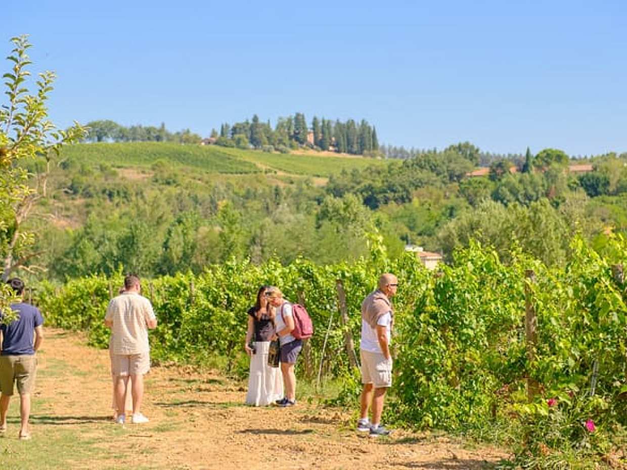 Full day private tour to Chianti wine region from Florence