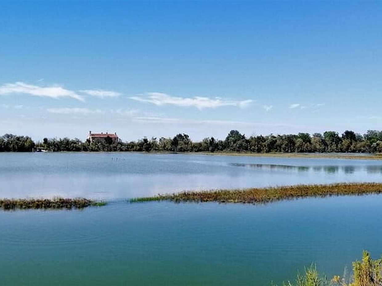 Venice Lagoon Bike & Birdwatching Tour: Flamingos in Lio Piccolo, photo 3