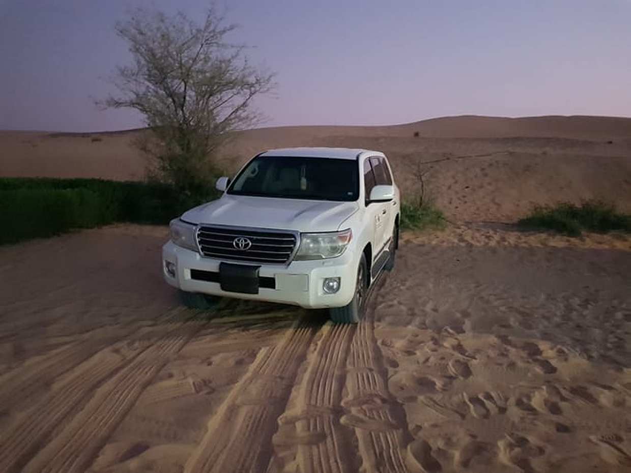 Dubai Desert Buggy Driving Experience with Dune Bashing & Camel Ride, photo 4