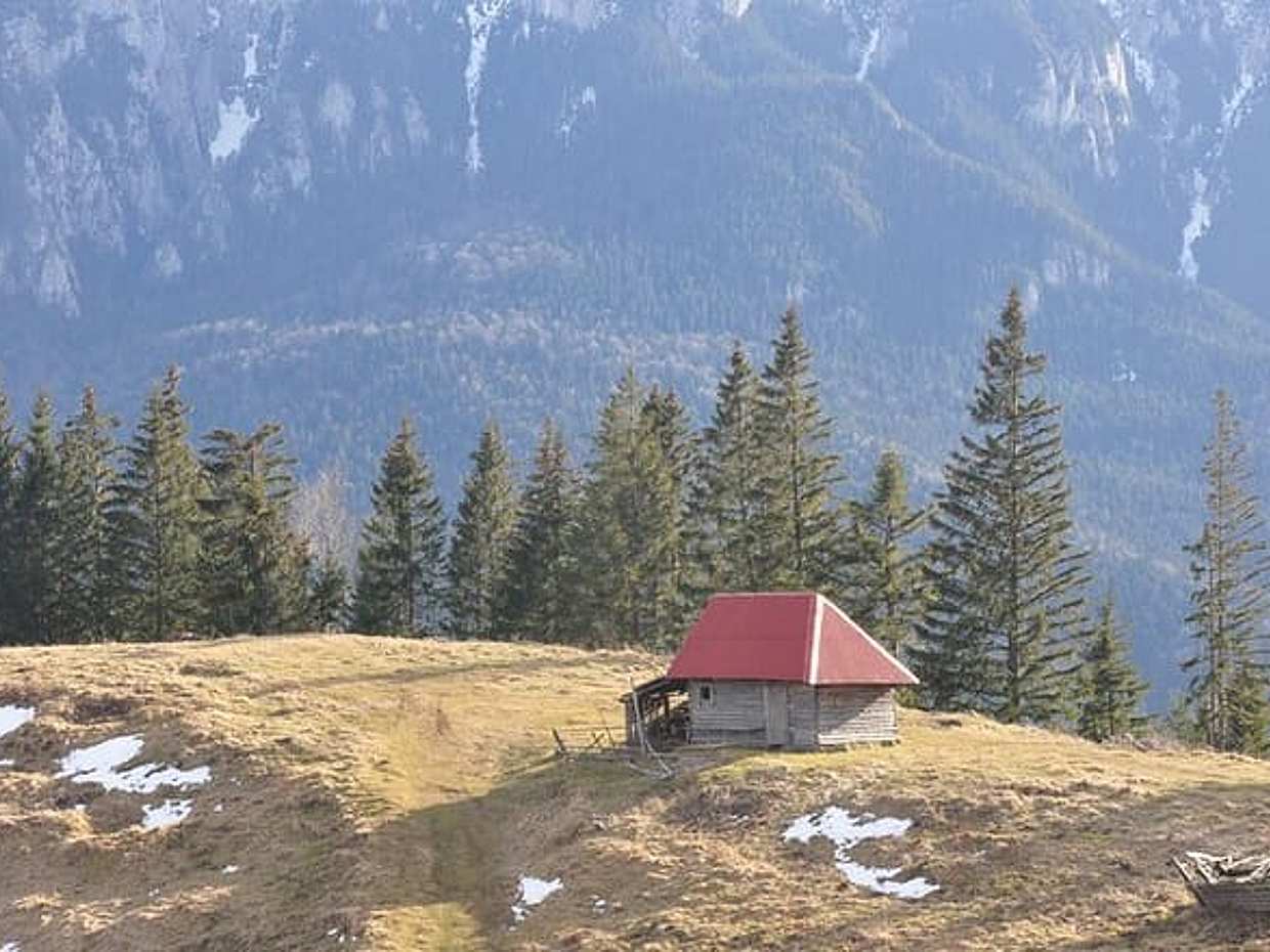 Procházka divočinou – Soukromá fotografická prohlídka v Rumunsku, Brašov, photo 2