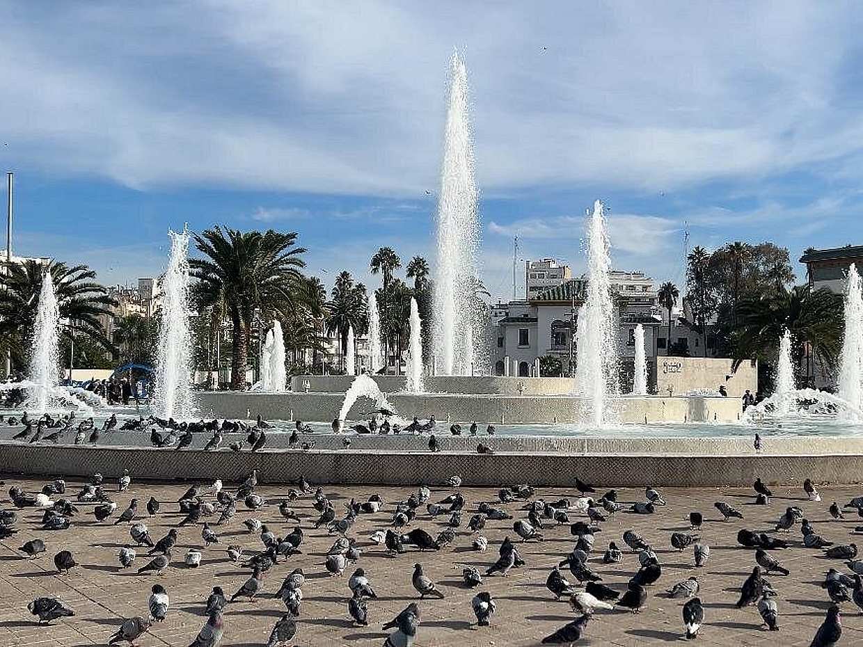 Descubre Casablanca: Mezquita y Recorrido por la Ciudad en Marruecos, photo 4