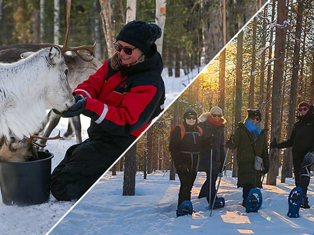 Snowshoeing to a Private Reindeer Forest & Reindeer Herder’s Day with Lunch, Levi