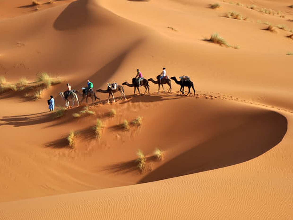 Complete Morocco, photo 3