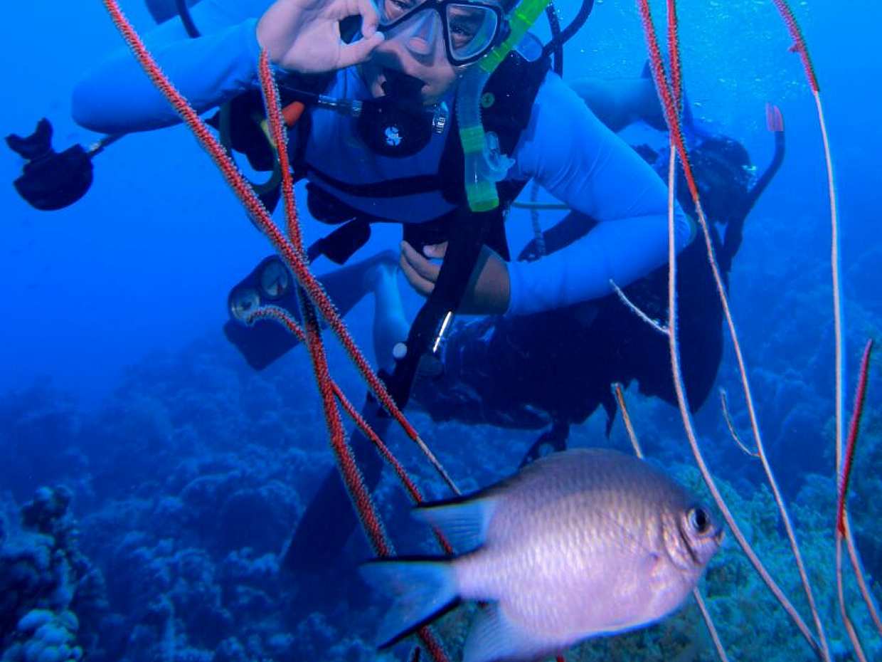 Курс дайвера-аквалангиста Open Water (3 дня) в Египте, Дахаб, photo 2