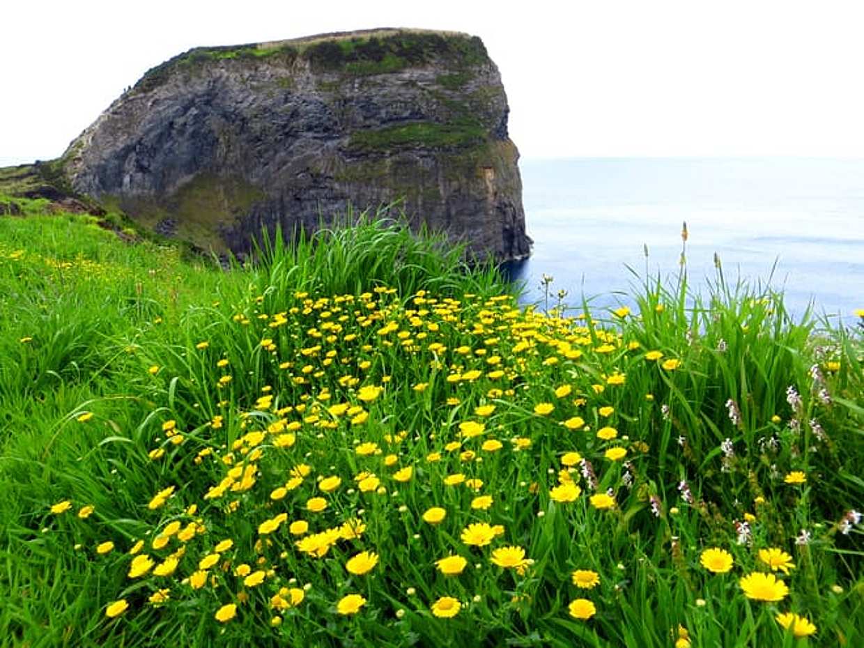 3-Day Essence of Faial: Volcanoes, Craters & Atlantic Horizons