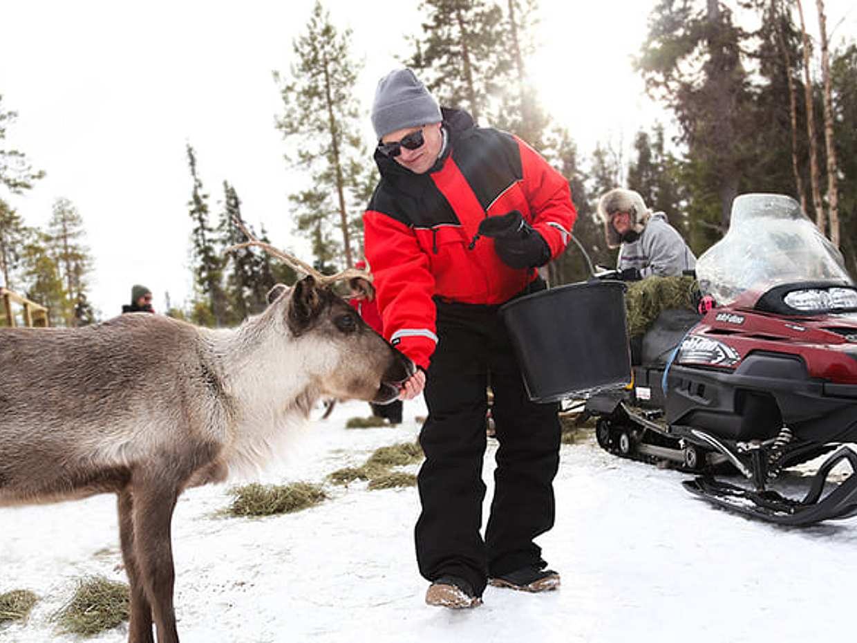 Meet the Reindeer like a local with a snowmobile sled, Levi, photo 5