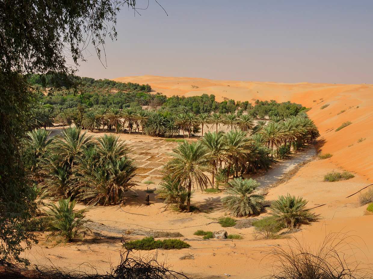 Private Liwa Full-day Desert Safari in Abu Dhabi, United Arab Emirates