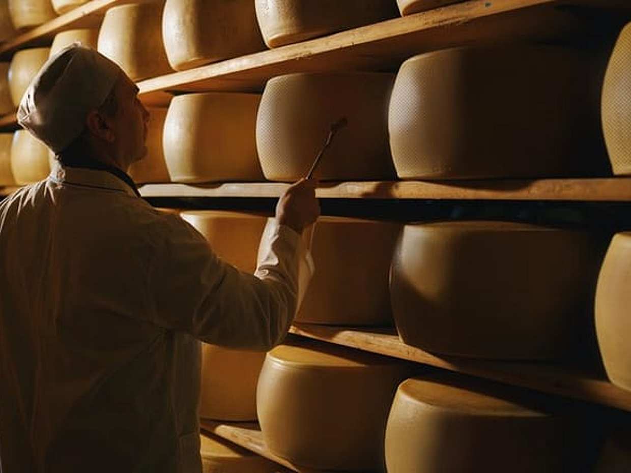 Parmigiano-Reggiano Käserei Kleingruppen-Tour Ab Parma in Italien, photo 2