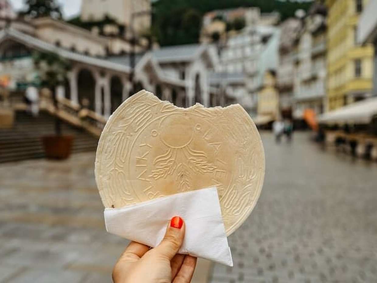 Transfer from Prague to Karlovy Vary: Private daytrip with 2h for sightseeing