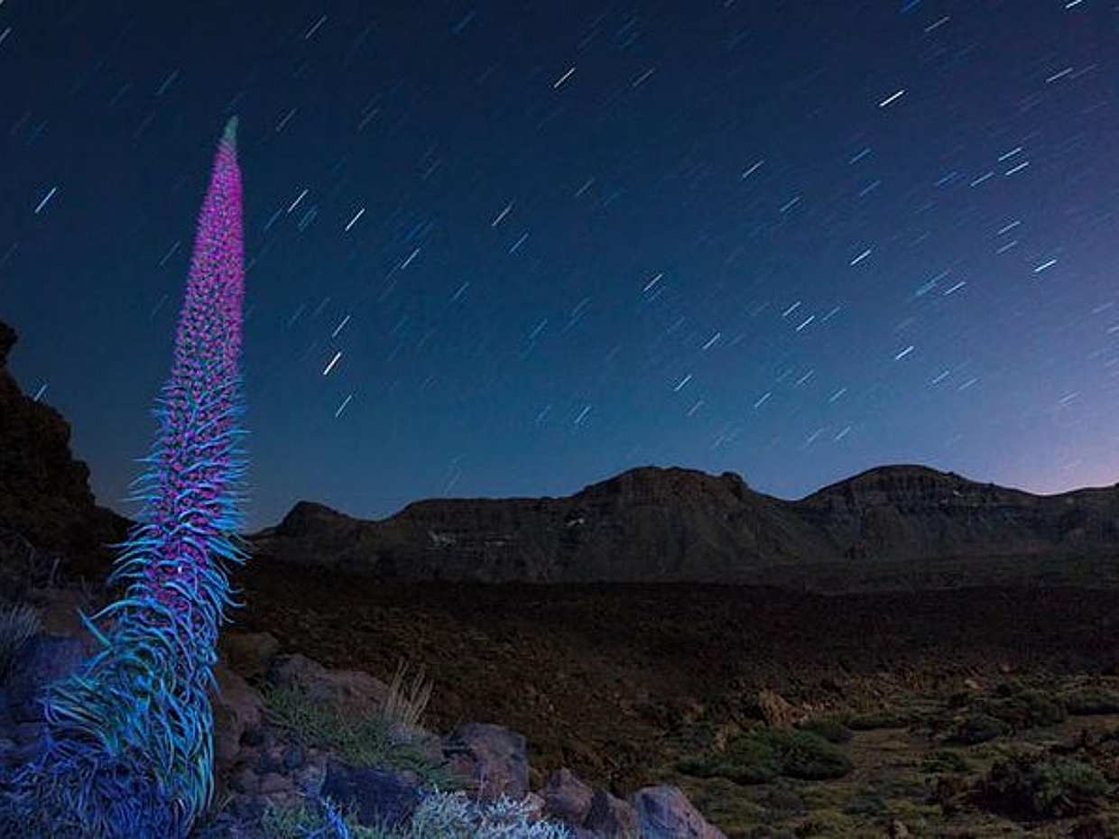 Teide sob as estrelas: Observação de estrelas, Jantar e Recolha no Hotel. em Espanha, Tenerife.
, photo 2