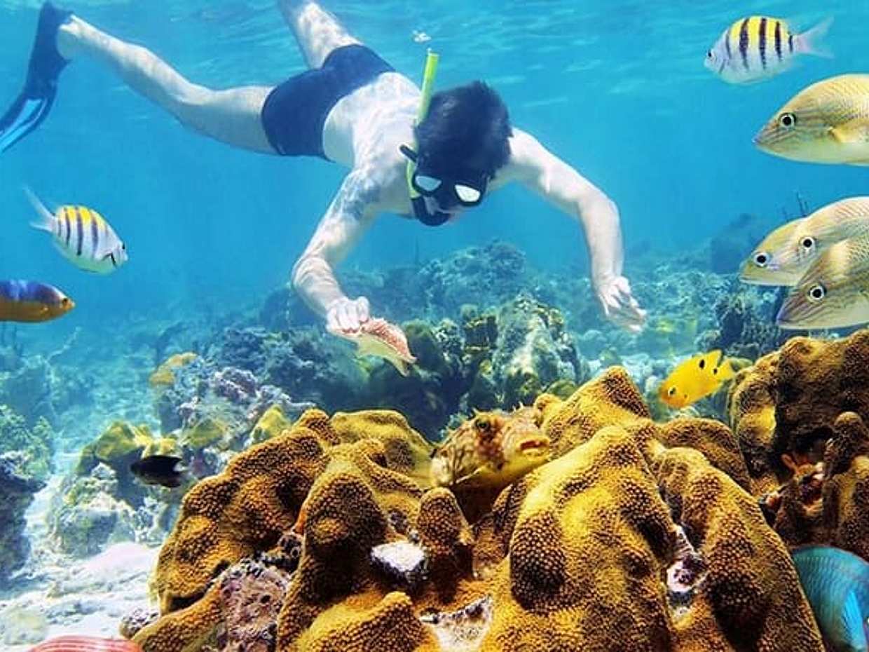 Deluxe Trip: Snorkeling & BBQ & Mud Bath