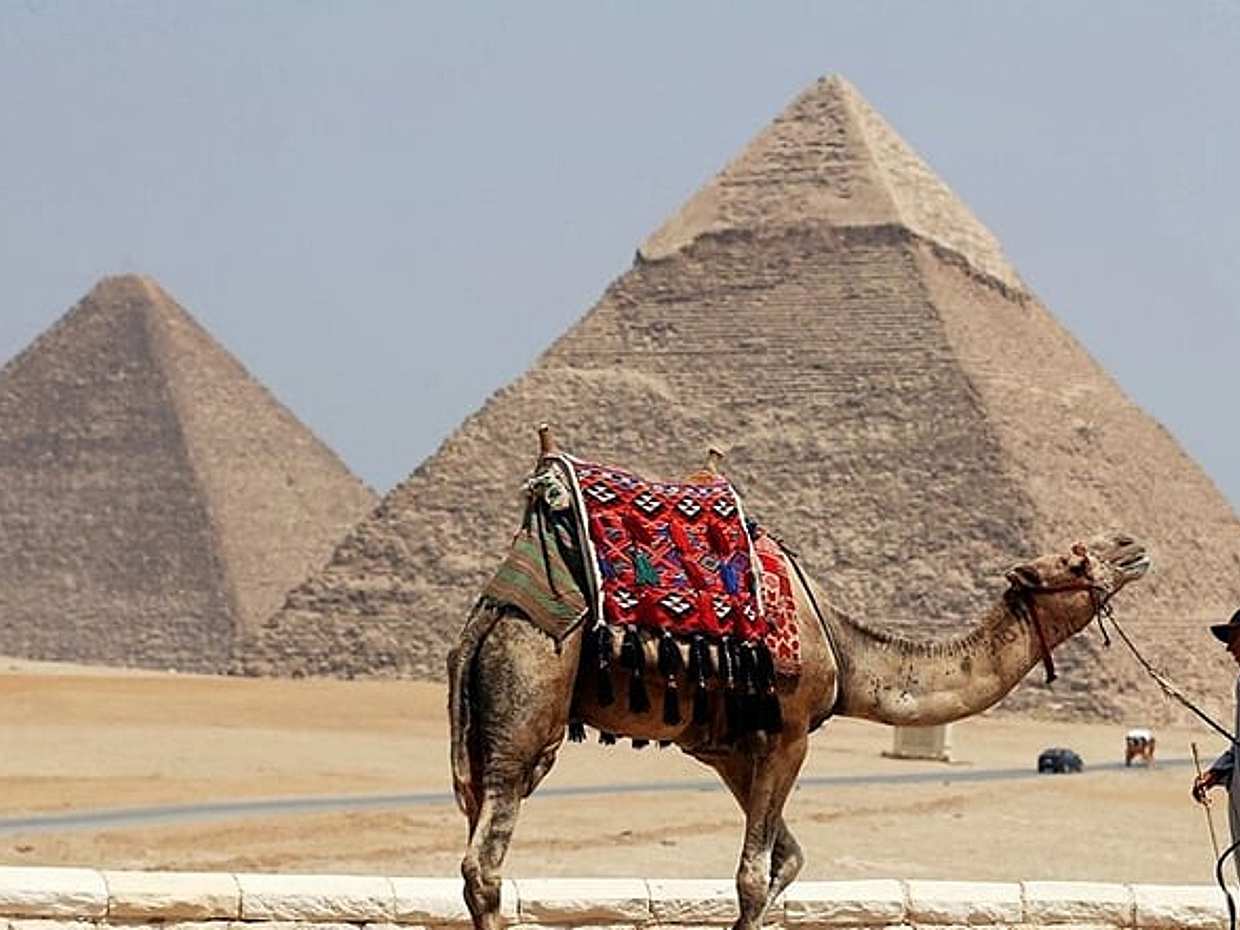 8 days Tour to see most of Egypt Cairo Aswan Luxor and Abu Simbel, photo 4